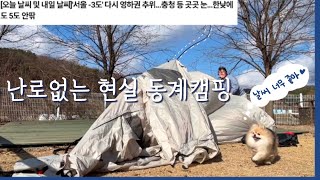 영하 3도! 난로없이 동계캠핑 브이로그 | 전기장판만 믿고 패기 오졌다 | 개별울타리 \u0026 강아지운동장 | 애견캠핑장 | 얼큰샤브샤브| 충남캠핑장 | 캠핑브이로그 | 현실 동계캠핑