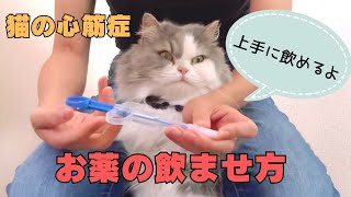 【一人で出来る】嫌がらない、猫ちゃんのお薬の飲ませ方　投薬器を使った方法