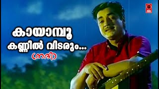 Kayampoo Kannil Vidarum - Nadhi(1969) | K.J Yesudas | Vayalar ramavarma | G Devarajan | Movie Song