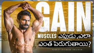 How Long Does It Take To Gain Muscle? || MUSCLE GAIN TIPS IN TELUGU