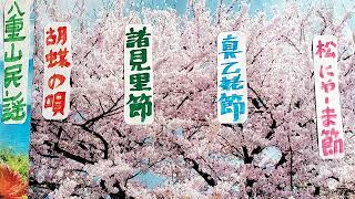 松にや一ま節・真乙ば節・諸見里節・胡蝶の唄・八重山民謡稽古参考音源・H4録音・歌三味線呉屋初美36歳ほか・支えた全ての方々の真心に衷心より感謝申し上げます🙇・1194