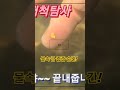 물속 금 gold 줍줍 순간 포착 사금 사금채취 금줍기