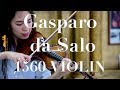 Gasparo Da Salo Violin, 1560