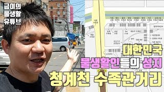 [금이TV] 청계천 수족관 거리 풀코스 투어