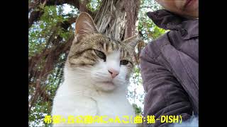 希望ヶ丘公園（沖縄・那覇）　の　にゃんこ（曲：猫-DISH）