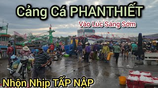 Một buổi sáng tấp nập tài khoản một cảng cá Phan Thiết | du ngoạn đó đây.