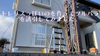 【つるバラ誘引】をするので、トレリスっぽいのを作ってみました(๑•̀ㅂ•́)و✧