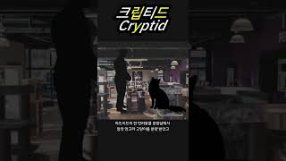 날개 달린 고양이-3