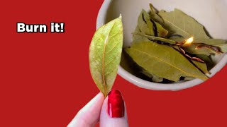 Burn Bay Leaf At Home On Christmas To See Miracles Happen!