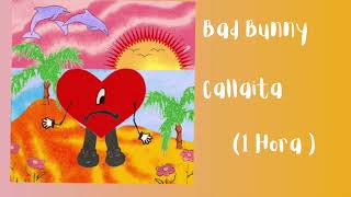 [1 HORA 🕐] Bad Bunny - Callaita