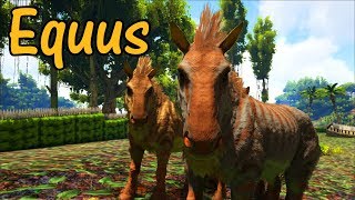 Equus Educational Special - Evolution of the Horse [54]