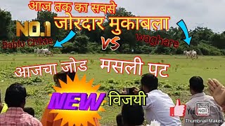 आज का जोड मसली पट  Waghare 🆚 बबलू Chikate  विजयी