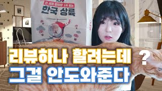 집사야 리뷰가 쉬울 줄 알았니? (feat.고양이)