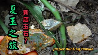 【力克行腳】夏玉之旅-新店玉石(Jasper hunting,Taiwan)