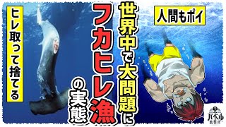 【実態】壮絶すぎるサメ漁。カニやマグロ漁船とは比べ物にならないくらい過酷…人間もサメの餌に【漫画/アニメ/マンガ/白石/フカヒレ漁】