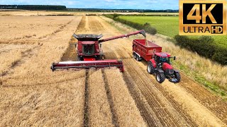 4K NEW 2024 Summer Barley Combine Harvest XL CASE Heavy Machinery Agricultural NOTTINGHAMSHIRE UK 🇬🇧