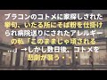 【衝撃】友達a子が893と付き合い始めた → ある日、男友達も交えてa子の家で遊んでいると、なんと893が乗り込んできて・・・