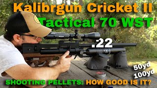 Kalibrgun Cricket II Tactical 70 WST .22 REVIEW | SHOOTING PELLETS: HOW GOOD IS IT?