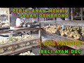 Perjalanan Menuju Pasar Gembrong //Beli Anakan Ayam DOC.