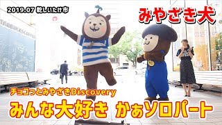 【みやざき犬】みんな大好き かぁくんソロ：チョコっとみやざきDiscovery (201907乾しいたけ市)