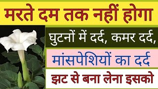 मरते दम तक नहीं होगा घुटनों में दर्द, कमर दर्द, मांसपेशियों में दर्द। झट से बना लेना इसको।