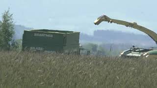 Ganzpflanzensilage GPS im Frühjahr von Gras für Biogas Anlage   Häckslerkette im Großeinsatz mit Kro