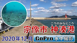 神湊港でGoPro沈めてみた