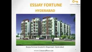 Essjay Fortune Hyderabad