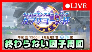 【ウマ娘】 初見さん大歓迎！ 終わらない因子周回！　アキのウマ娘育成ライブ