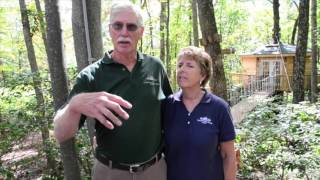 Country Road Cabins's New Holly Rock Treehouse