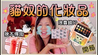 【魚乾】貓奴的化妝品開箱！PAUL&JOE / 花知曉新品好萌(ฅ'ω'ฅ)！