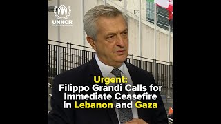 Urgent: Filippo Grandi Calls for Immediate Ceasefire in Lebanon and Gaza