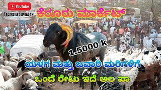 ಕೆರೂರು ಮಾರ್ಕೆಟ್ Keruru Sheep Market 18/2/2025 Tuesday 😍