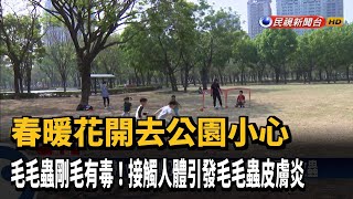 毛毛蟲剛毛有毒  公園遊玩要當心－民視台語新聞