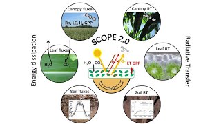 1 SCOPE introduction