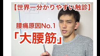 【世界一分かりやすい触診】腰痛原因No.1「大腰筋」の触診　　　筋膜 治療 リリース