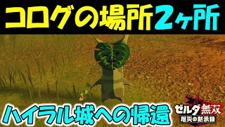 【ゼルダ無双】 ハイラル城への帰還　コログの場所 ２ヶ所  【厄災の黙示録】　＃１８