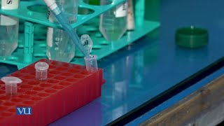 DNA Extraction Part-2 | Methods in Molecular Biology (Practical) | MB504P_Topic003