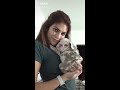 funny dogs of tiktok compilation ~ nothing cuter than cute little puppies