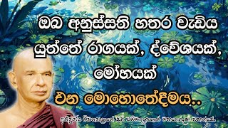 ඔබ අනුස්සති හතර වැඩිය යුත්තේ රාගයක්,ද්වේශයක්,මෝහයක් එන මොහොතේදිය..