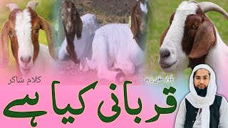 Qurbani kya hai Nazam | Emotional Kalam 2023 | Eid al-adha Par nazam | voice Mufti Zaid @ZaidMedia