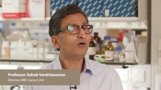 Professor Ashok Venkitaraman's lab overview