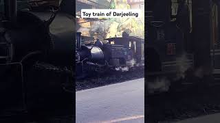 Toy train of Darjeeling //#darjeeling #darjeelingtoytrain #darjeelinghimalayanrailway #toytrain