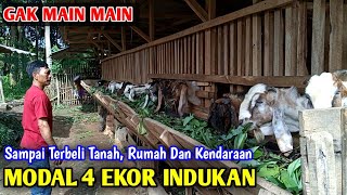 Gak Sepele, Senior Mah Mampu Beli Tanah Rumah Dan Kendaraan Cuma Dari Kambing