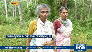 വാര്‍ധക്യത്തിലും കാര്‍ഷിക വൃത്തി; ഒരു ഏക്കര്‍ സ്ഥലത്ത് നൂറു മേനി നെല്ല് വിളയിച്ച് വയോധികര്‍