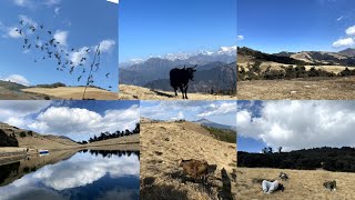 प्राकृतिक सुन्दरताले भरिएको मुन्दुम ट्रेलमा चौरिहरुसङ्गै रमाउदै हाम्रो यात्राजारी|#mundumtrail day2