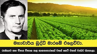 මහාචාර්ය බුද්ධි මාරඹේ එලෙව්වා. රුසියාව සහ චීනය විනාශ කළ සාගතකාරයෝ වගේ සෙට් එකක් වැඩට බැහැලා.