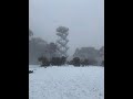 Mount Donna Buang Summertime Snow! :) Southern Path Finders found it.