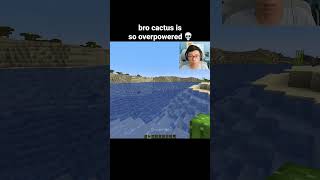 Minecraft Cactus Moment