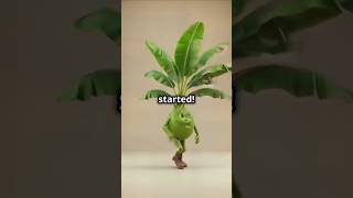 Walking plant!